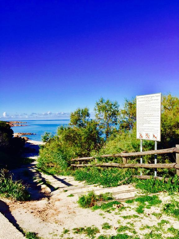 Appartamenti In Villa La Marinedda Isola Rossa Buitenkant foto