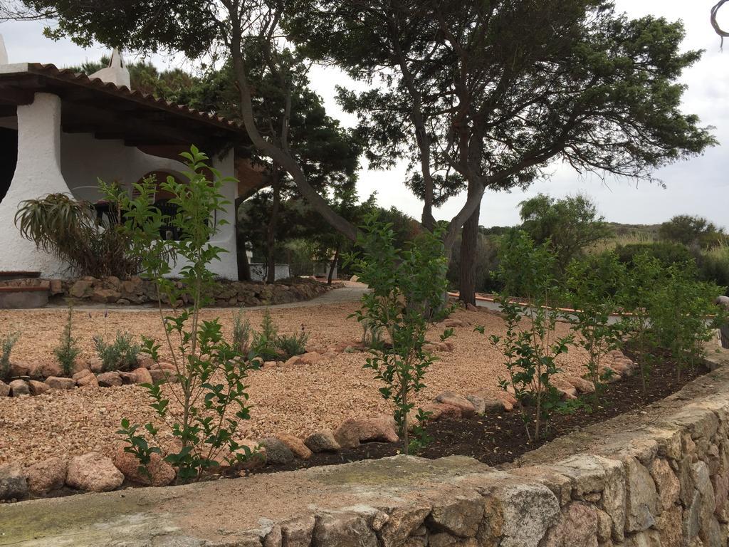 Appartamenti In Villa La Marinedda Isola Rossa Buitenkant foto